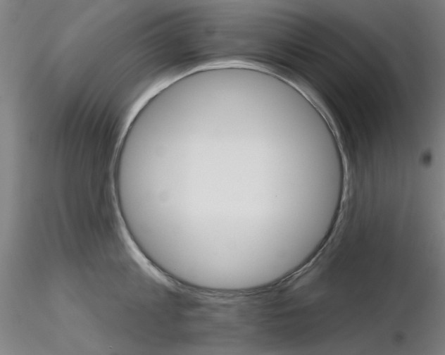 X0000116850813200912220940