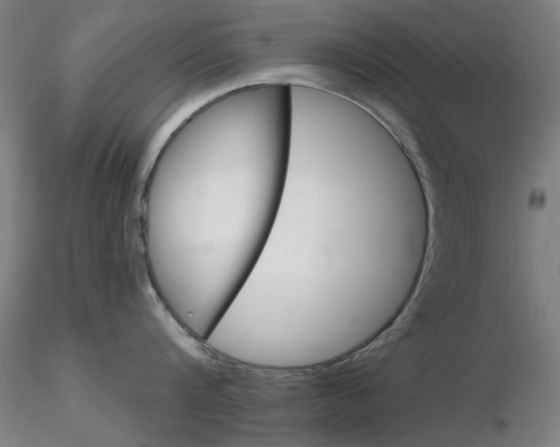 X0000116850816200912220940
