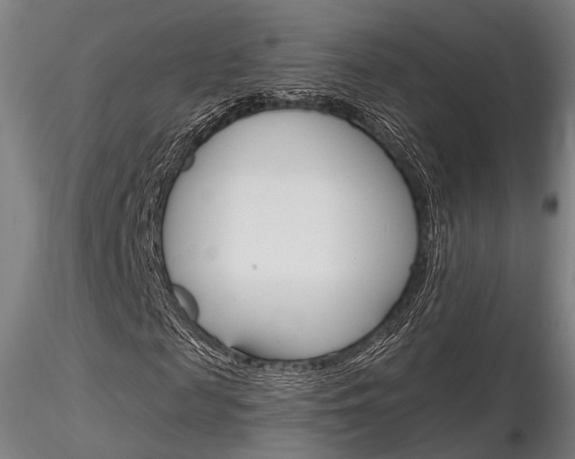 X0000116850817200912220940