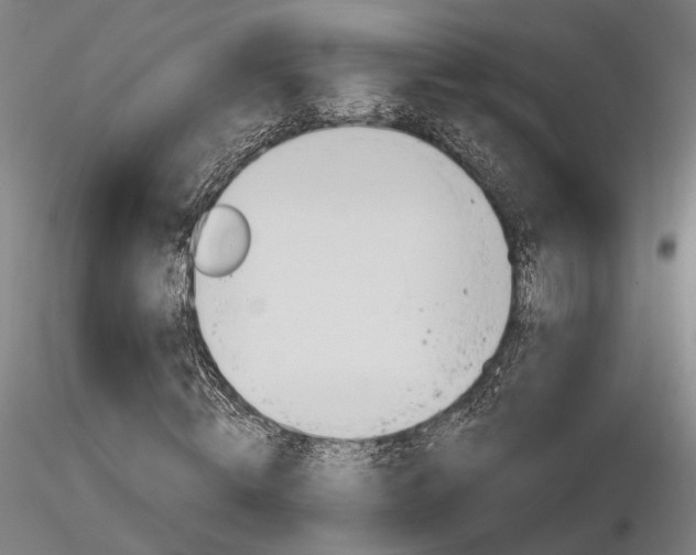 X0000116850820200912220940