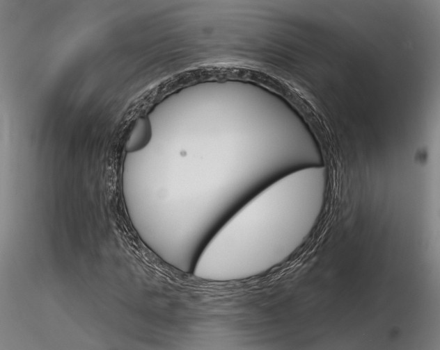 X0000116850821200912220940