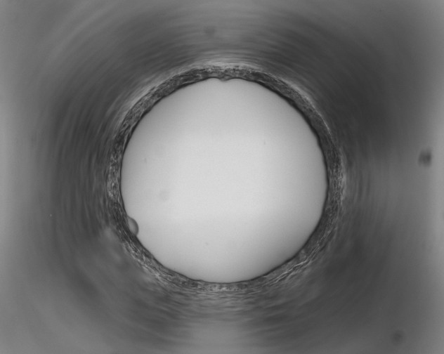 X0000116850823200912220940