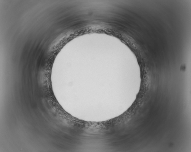 X0000116850824200912220940