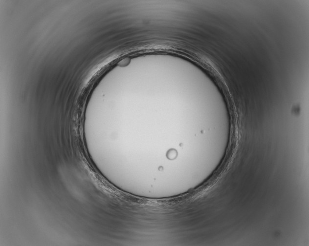 X0000116850827200912220940