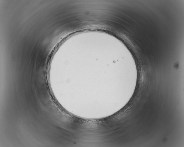 X0000116850828200912220940