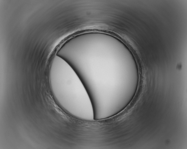 X0000116850830200912220940