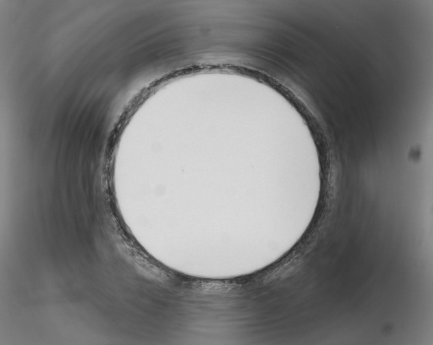 X0000116850832200912220940