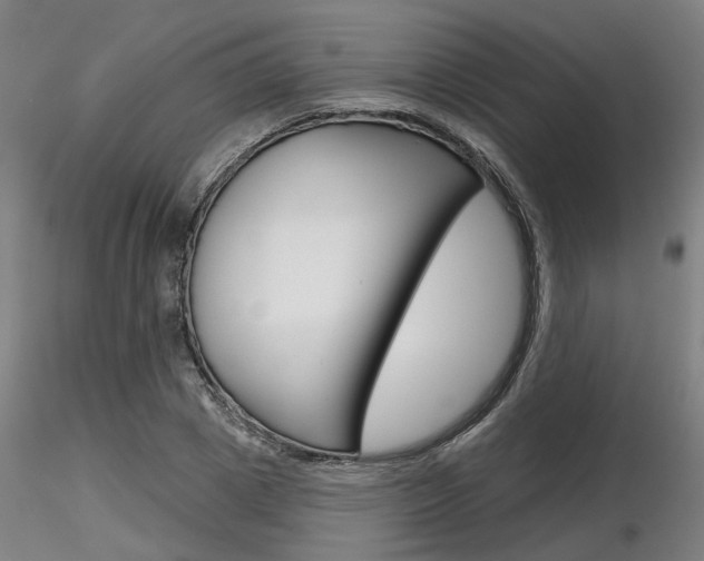 X0000116850833200912220940
