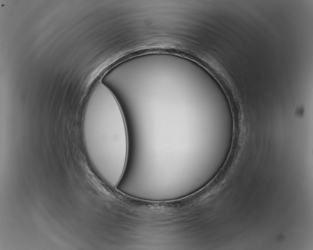 X0000116850834200912220940