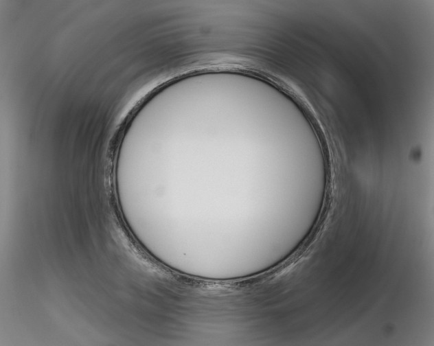 X0000116850835200912220940