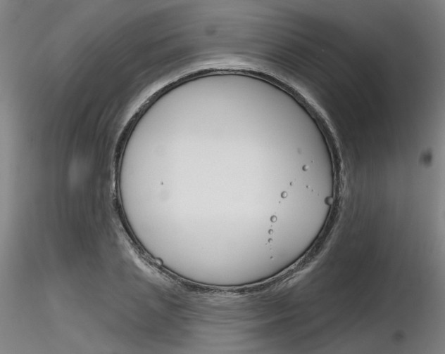 X0000116850837200912220940