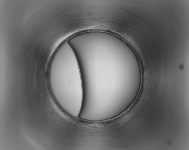 X0000116850838200912220940
