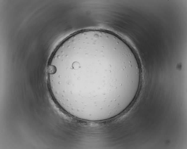 X0000116850839200912220940