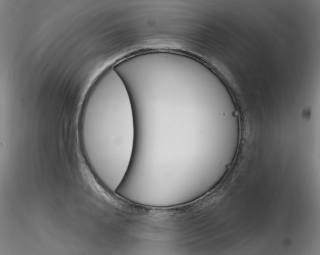 X0000116850840200912220940