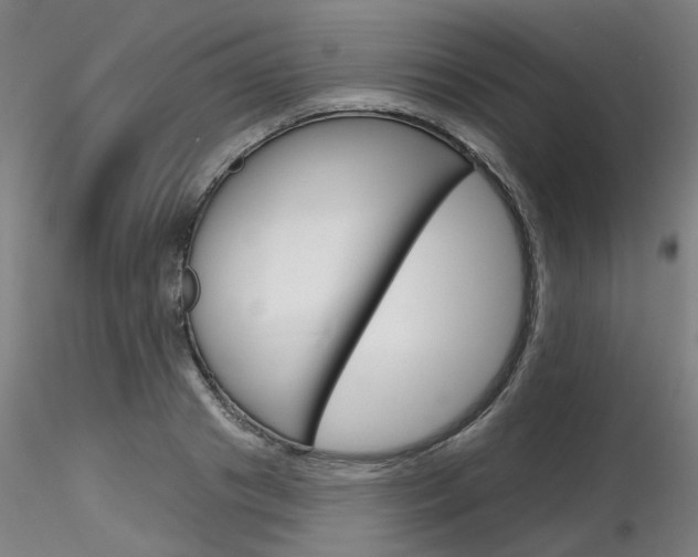 X0000116850841200912220940