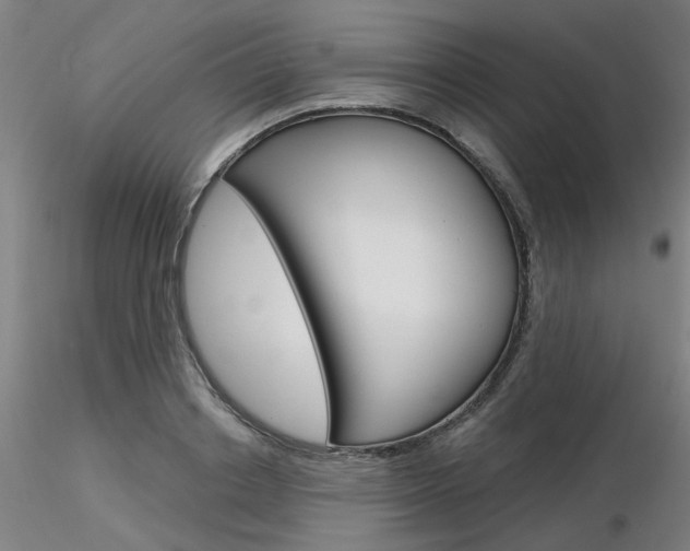 X0000116850842200912220940