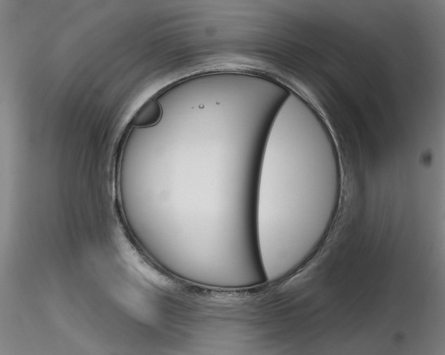 X0000116850843200912220940