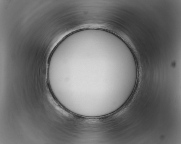 X0000116850844200912220940