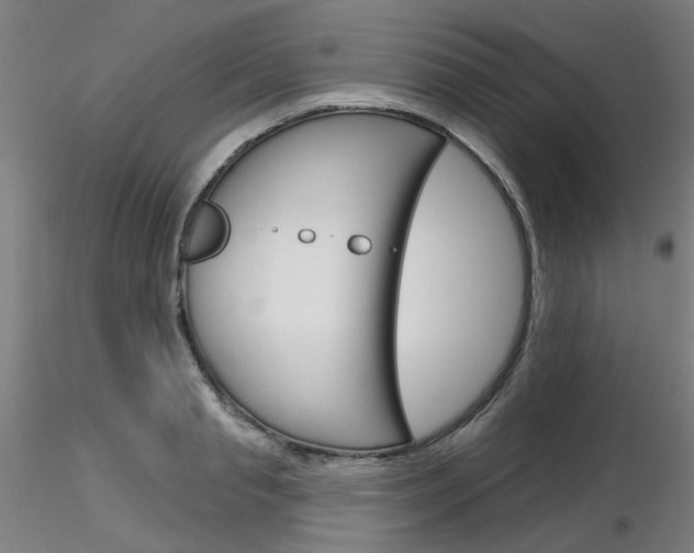 X0000116850845200912220940