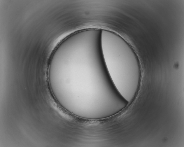 X0000116850846200912220940