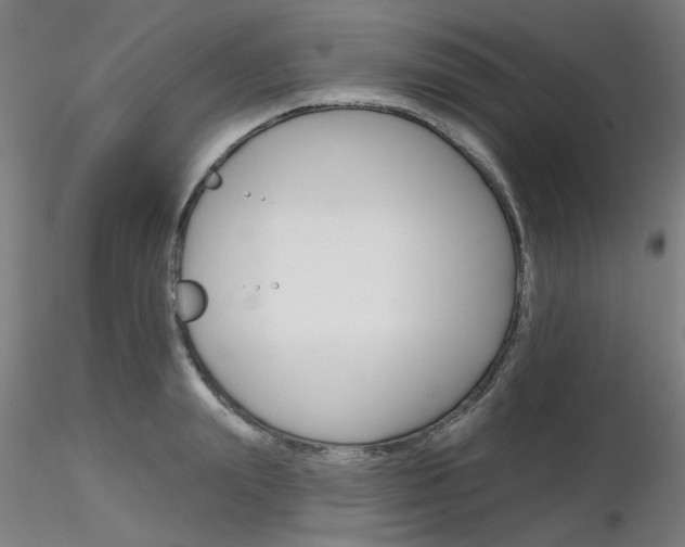 X0000116850847200912220940