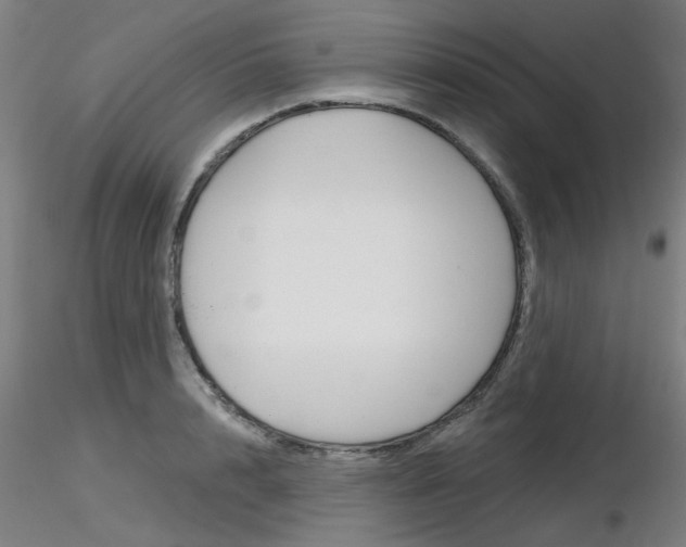 X0000116850848200912220940