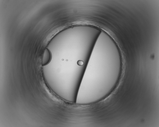 X0000116850849200912220940