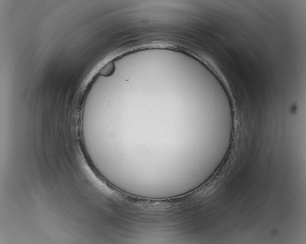 X0000116850851200912220940