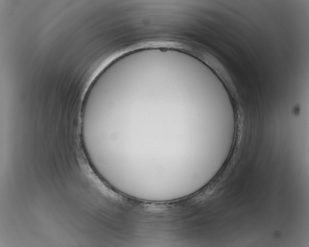 X0000116850852200912220940