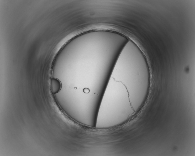 X0000116850853200912220940