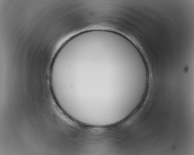 X0000116850854200912220940