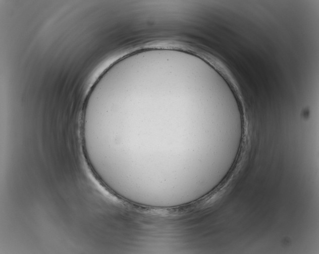 X0000116850855200912220940
