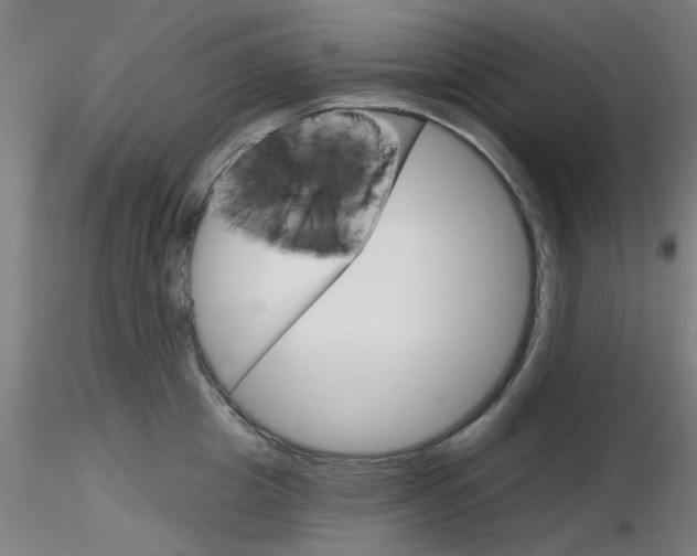 X0000116850857200912220940