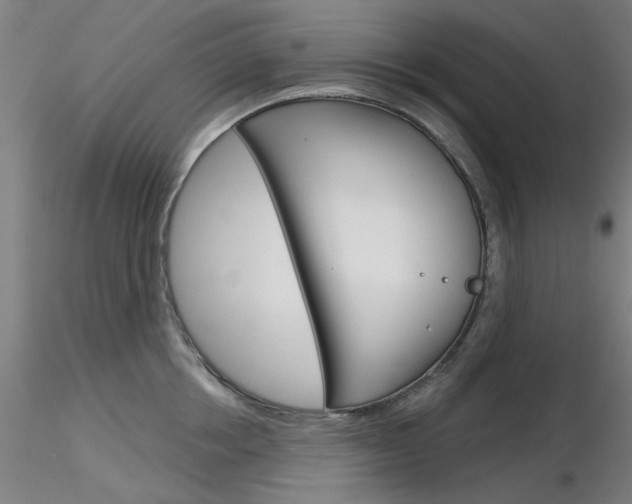 X0000116850858200912220940