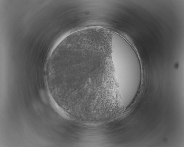 X0000116850859200912220940