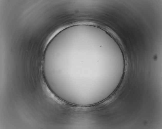 X0000116850860200912220940