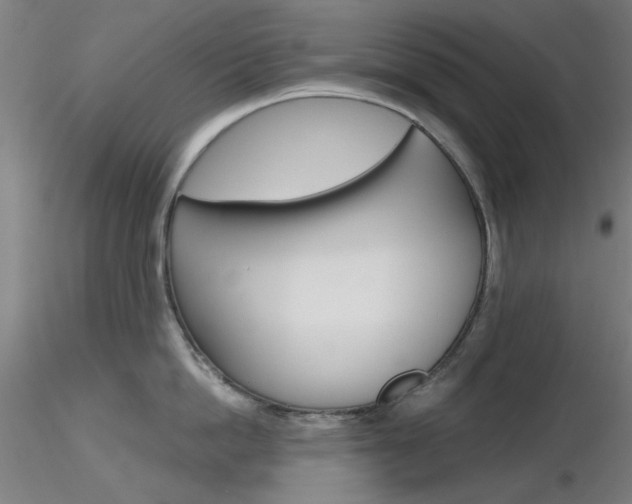 X0000116850862200912220940