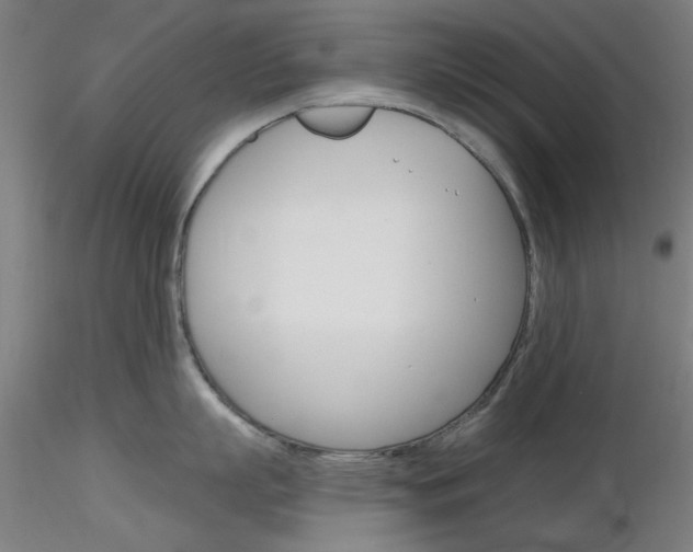 X0000116850863200912220940