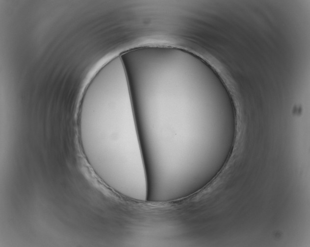 X0000116850864200912220940