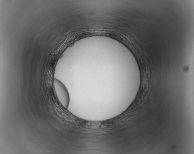 X0000116850866200912220940