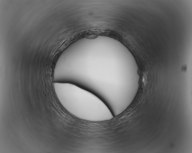 X0000116850867200912220940