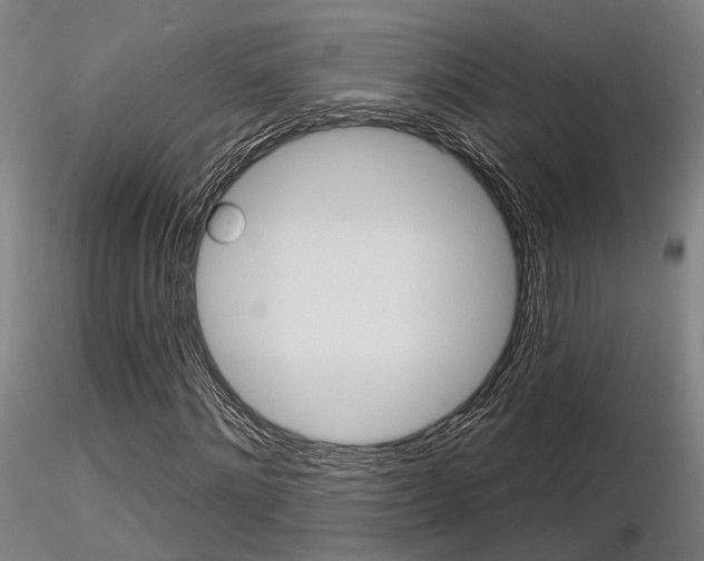 X0000116850868200912220940