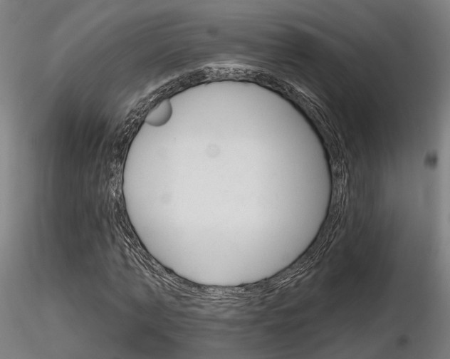 X0000116850870200912220940