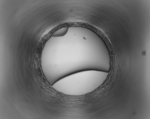 X0000116850871200912220940