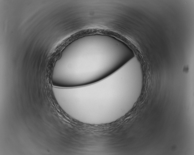 X0000116850872200912220939