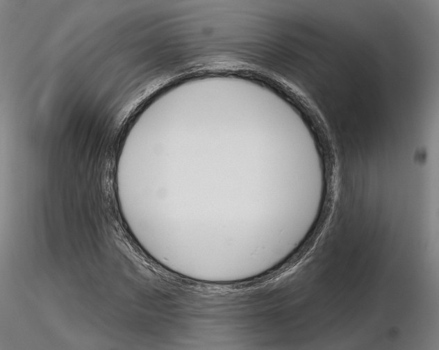 X0000116850873200912220939