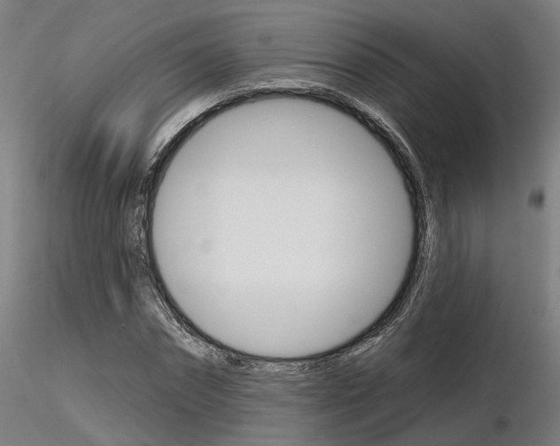 X0000116850874200912220939