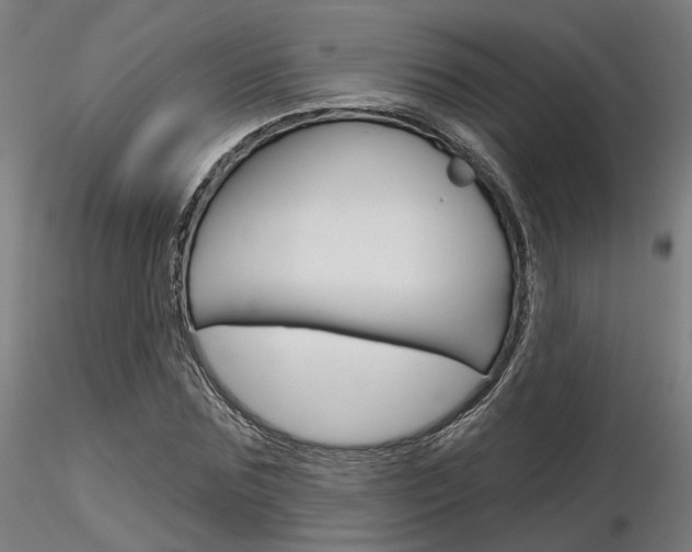X0000116850875200912220939