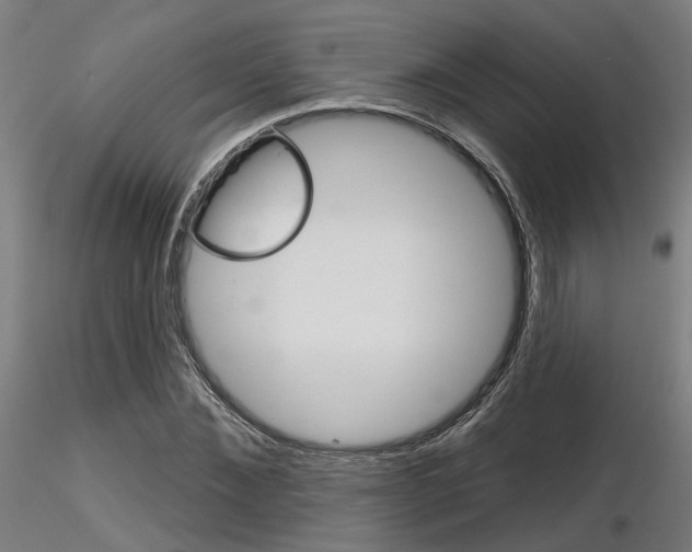X0000116850876200912220939