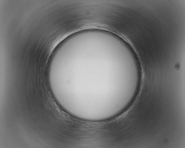 X0000116850877200912220939